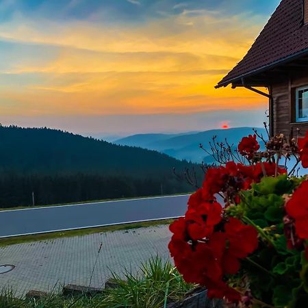 Pension Forsthaus Taele - Das Gaestehaus Vom Schwarzwaldgasthaus Salenhof Titisee-Neustadt Eksteriør bilde
