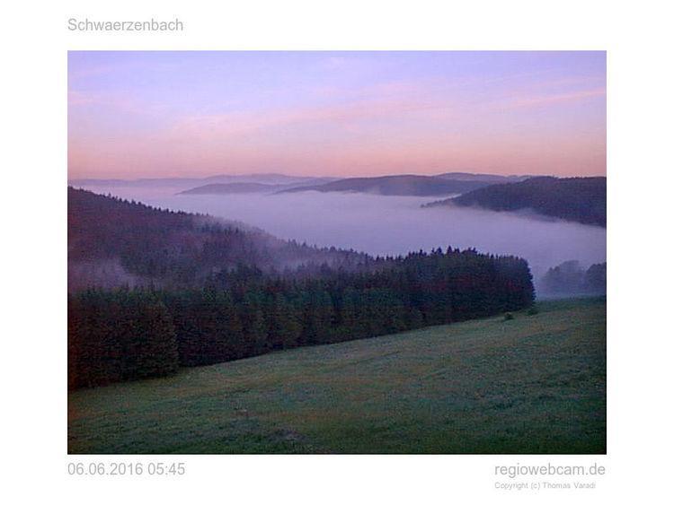 Pension Forsthaus Taele - Das Gaestehaus Vom Schwarzwaldgasthaus Salenhof Titisee-Neustadt Eksteriør bilde