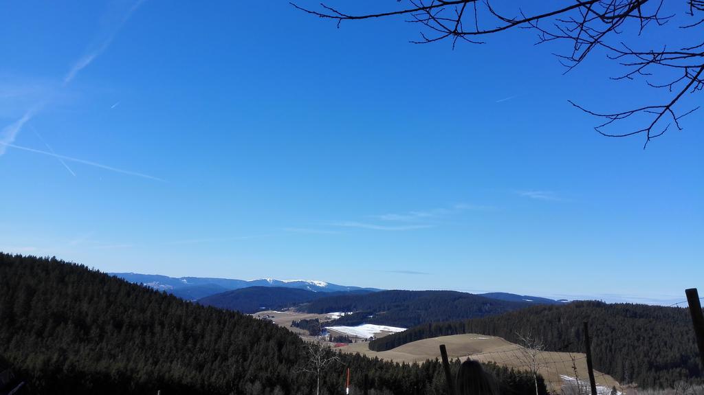 Pension Forsthaus Taele - Das Gaestehaus Vom Schwarzwaldgasthaus Salenhof Titisee-Neustadt Eksteriør bilde