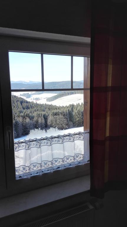 Pension Forsthaus Taele - Das Gaestehaus Vom Schwarzwaldgasthaus Salenhof Titisee-Neustadt Eksteriør bilde