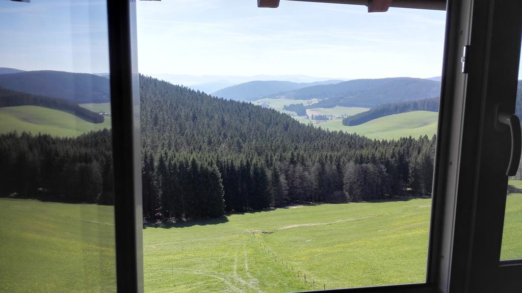 Pension Forsthaus Taele - Das Gaestehaus Vom Schwarzwaldgasthaus Salenhof Titisee-Neustadt Eksteriør bilde