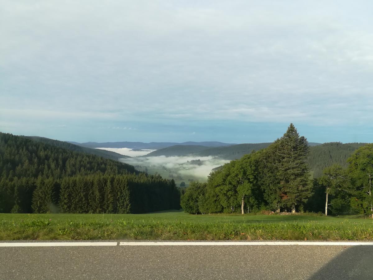 Pension Forsthaus Taele - Das Gaestehaus Vom Schwarzwaldgasthaus Salenhof Titisee-Neustadt Eksteriør bilde