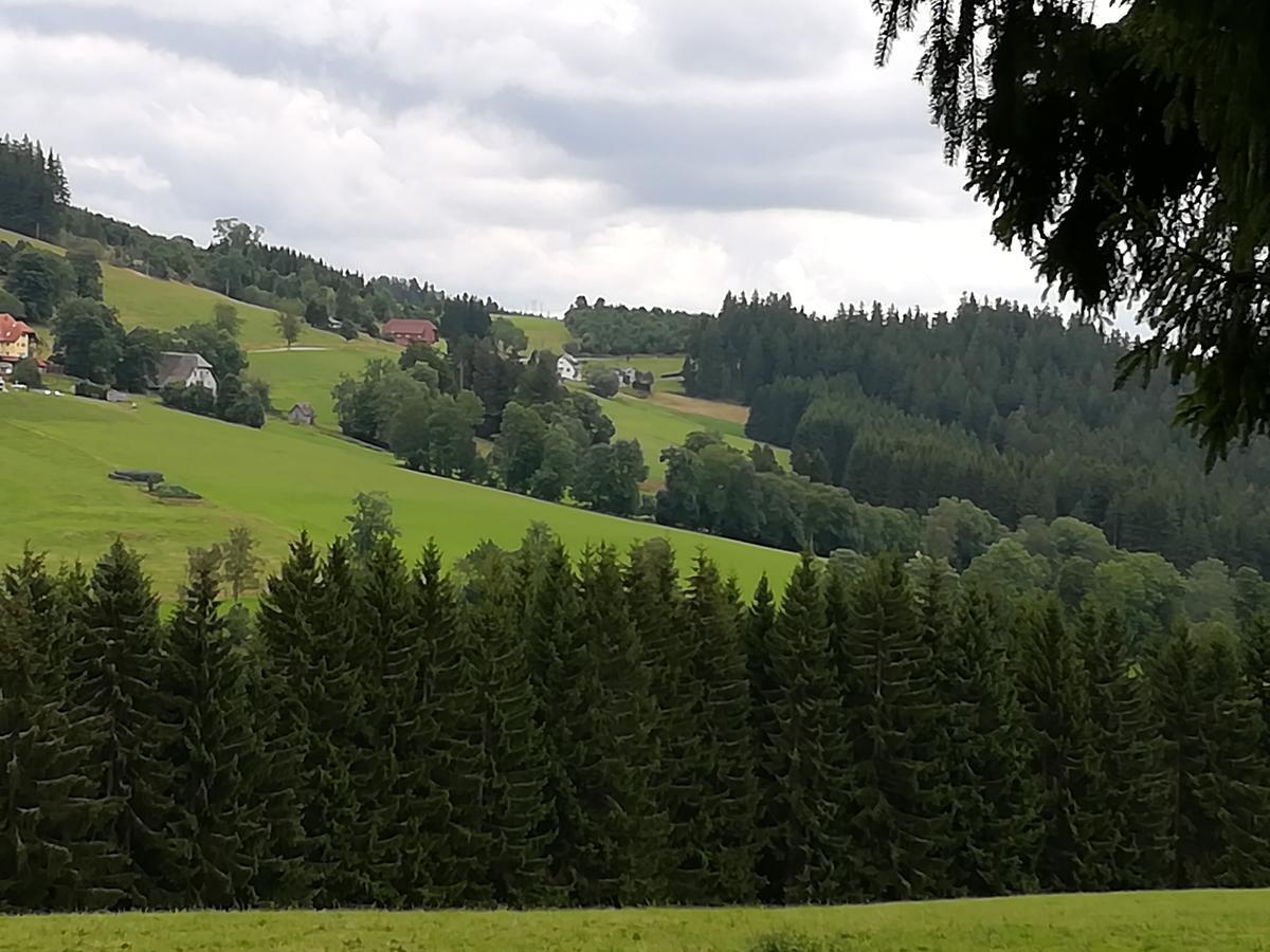 Pension Forsthaus Taele - Das Gaestehaus Vom Schwarzwaldgasthaus Salenhof Titisee-Neustadt Eksteriør bilde