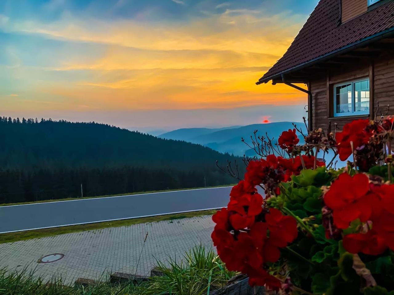 Pension Forsthaus Taele - Das Gaestehaus Vom Schwarzwaldgasthaus Salenhof Titisee-Neustadt Eksteriør bilde